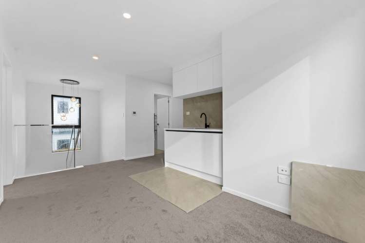 27 Cyperus Street Flat Bush_20