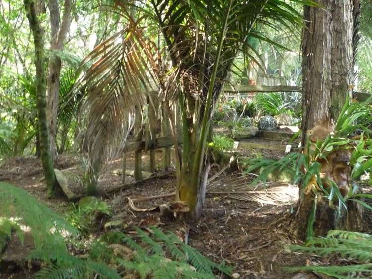 21 Punga Place Whitianga_34