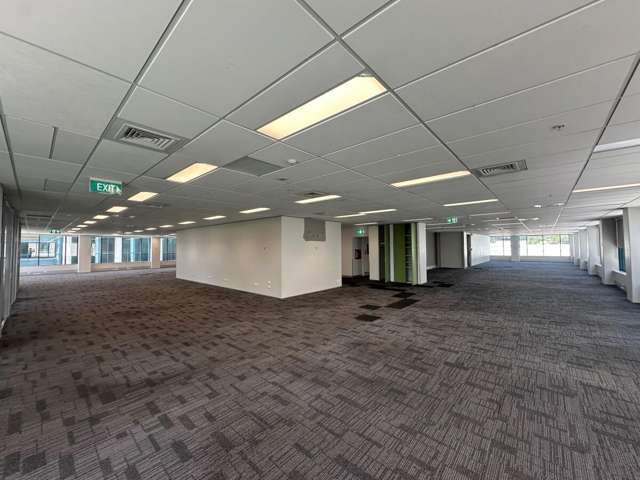 101 Carlton Gore Road Newmarket_1