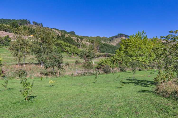 245B Wallace Road Levin_7