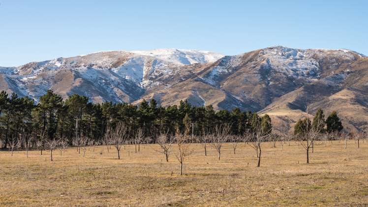 Willowbank Road Queensberry_25