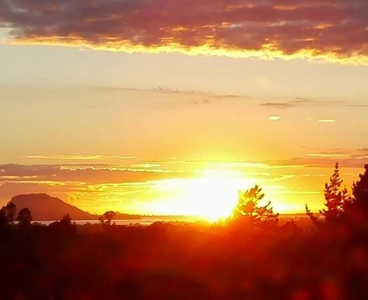 233 Waipapa Block Road Whakamarama_18