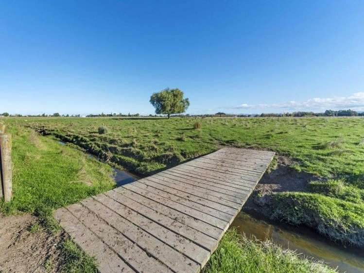 582 Back Ormond Road Makauri_9