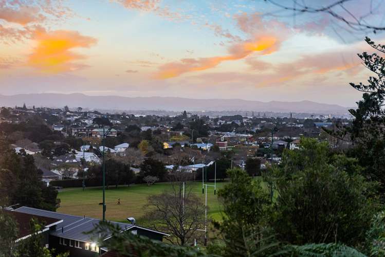 44 Western Springs Road Morningside_8