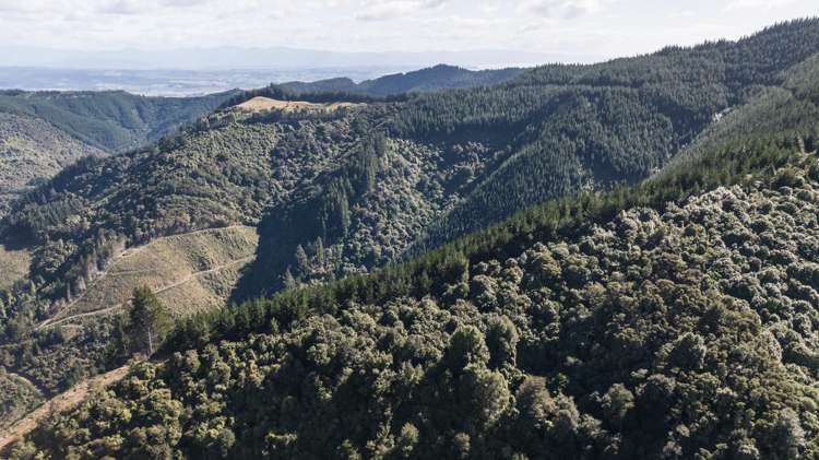 967 Aniseed Valley Road Aniseed Valley_16