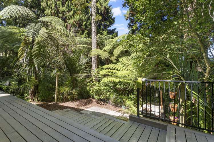 1 Ngaio Road Titirangi_8