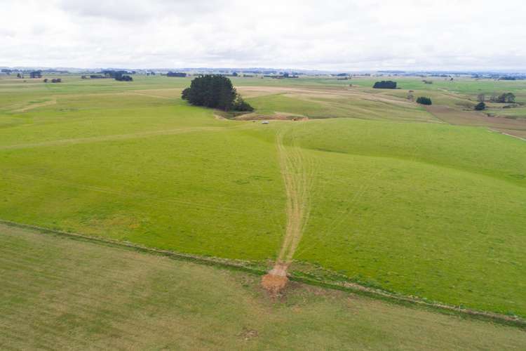 63b Sligo Terrace Roslyn_8