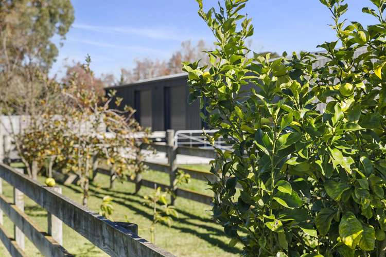 10 Kuranui Road Morrinsville_31