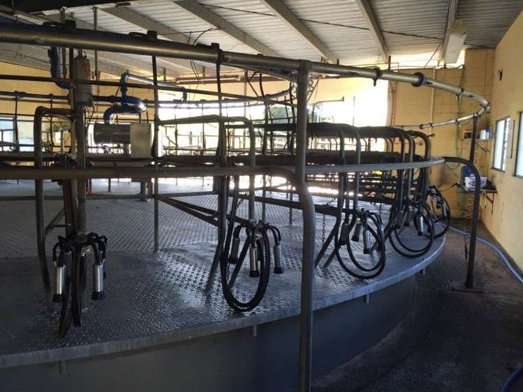 1982 South Head Road South Head_5