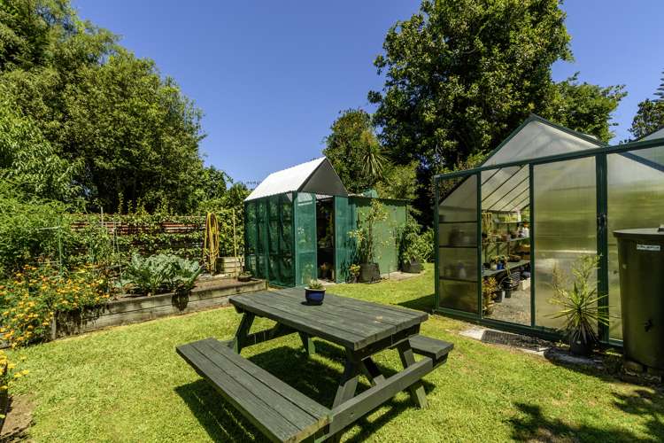 391a Old Highway Whakamarama_27