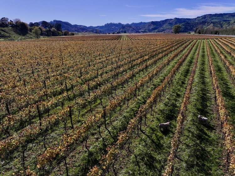 2057 Matawai Road Te Karaka_4