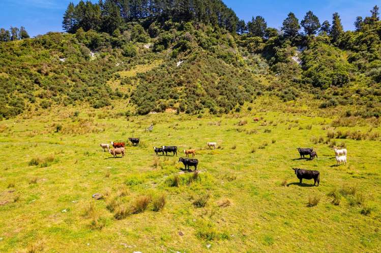 324 Okoki Road Urenui_6