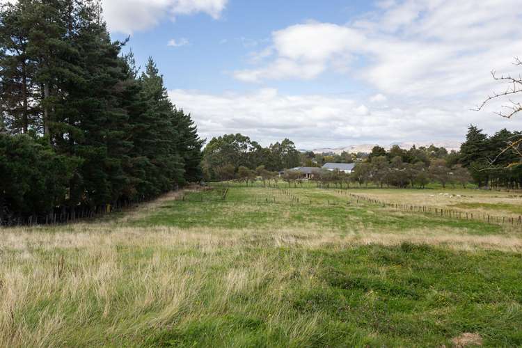 133 Adelaide Road Dannevirke_23