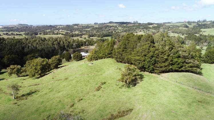 562 Waimate North Road Kerikeri_5