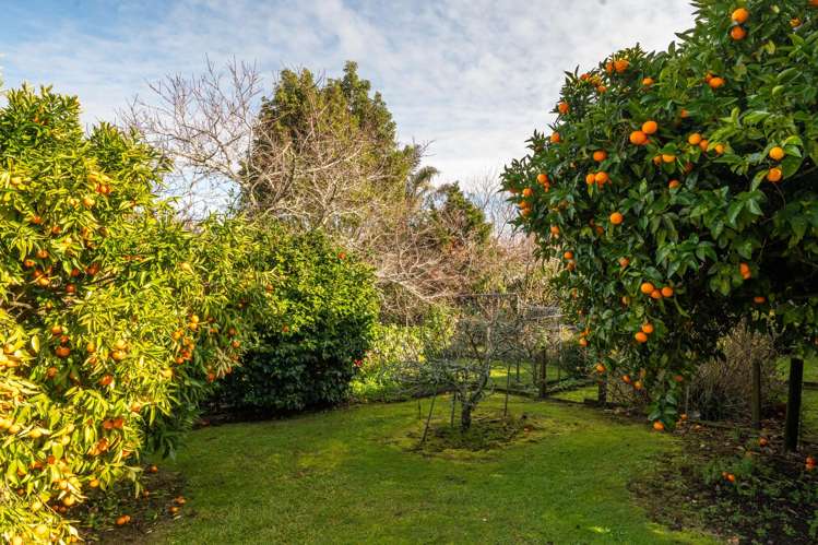 8 Lewis Street Paeroa_18