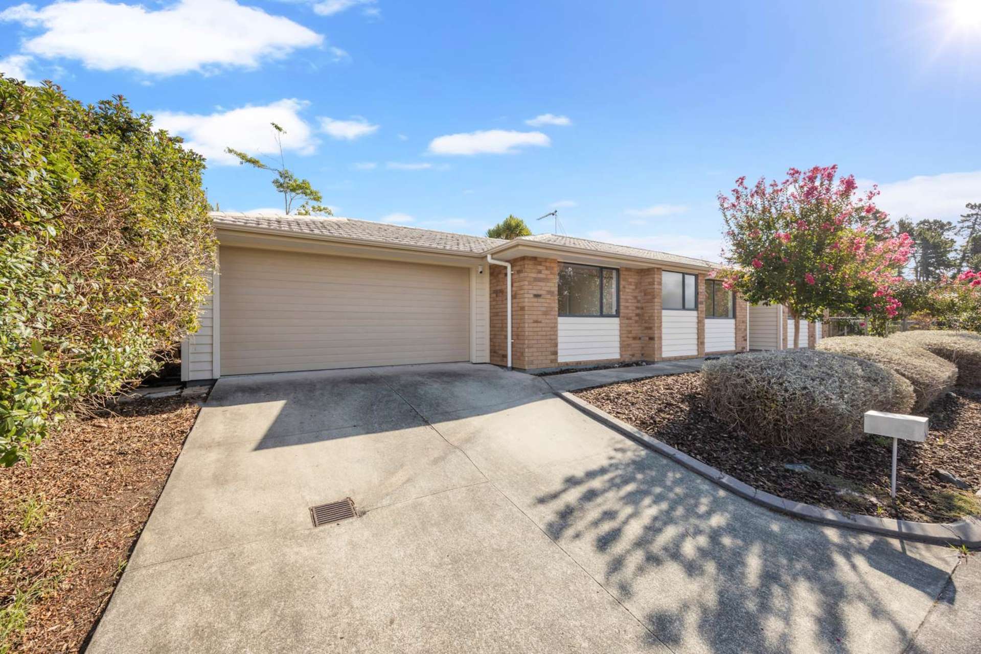 169c Colwill Road Massey_0