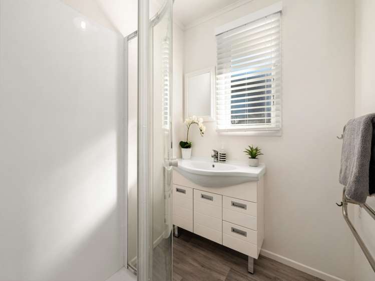 14 Nikau Street Springfield_8