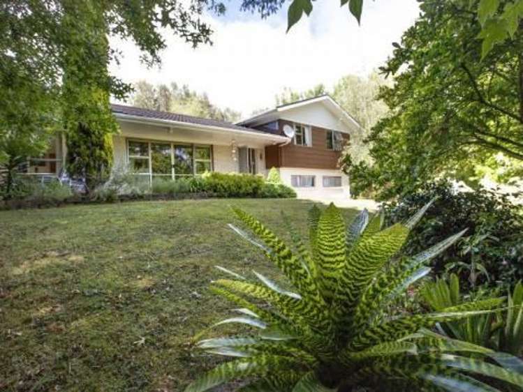 65 Hudson Road Warkworth_0