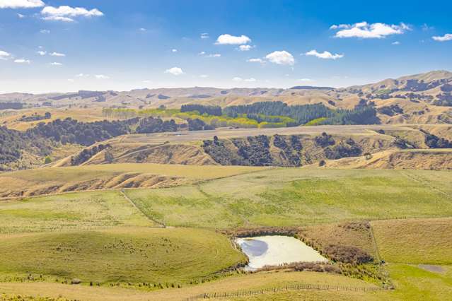 219 Te Kanuka Road Masterton_2