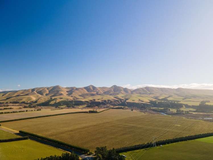 590 Georges Road Waipara_2
