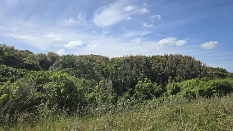 . Opourapa Road Rahotu_11