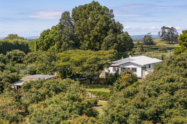 96 Lindemann Road Katikati_18