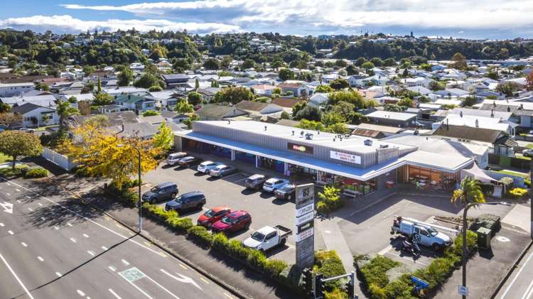 83 Kennedy Road Napier South_5