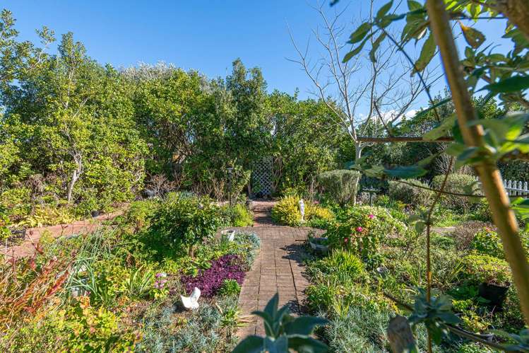 51 Shelly Beach Road, Shelly Beach Helensville_16