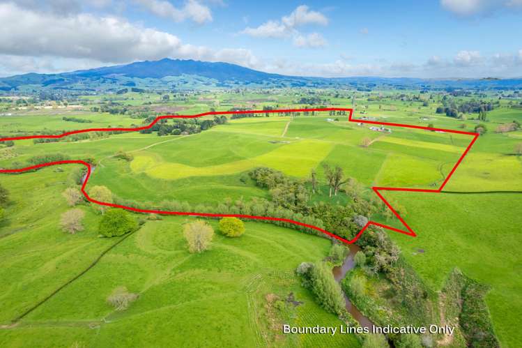 112 Waiari Road Pirongia_12