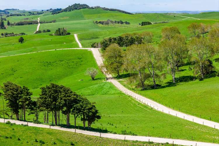 29 Keer Road Arapohue_6