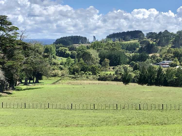 8 Bobs Way Dairy Flat_9