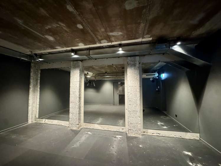 202 Ponsonby Road Ponsonby_10