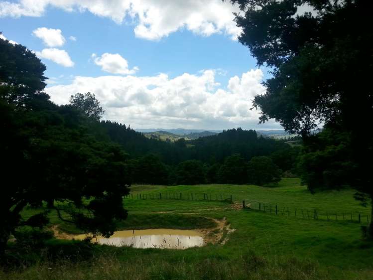 2568a Paparoa-Oakleigh Road Paparoa_9