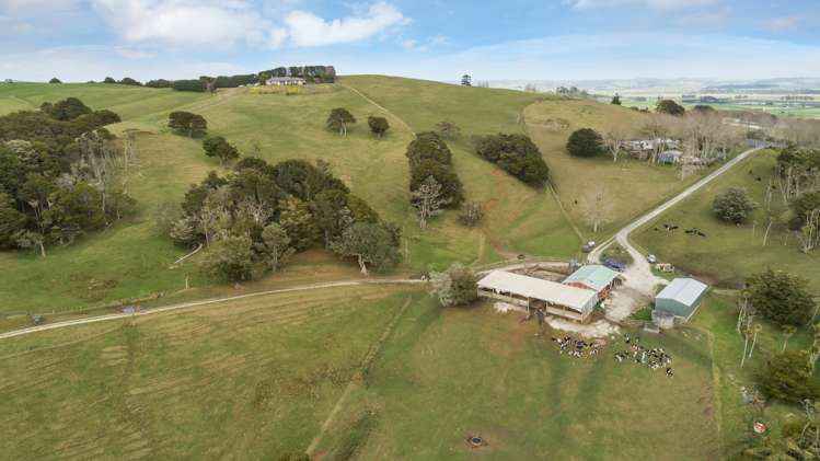 359 Arapohue Road Dargaville Surrounds_8