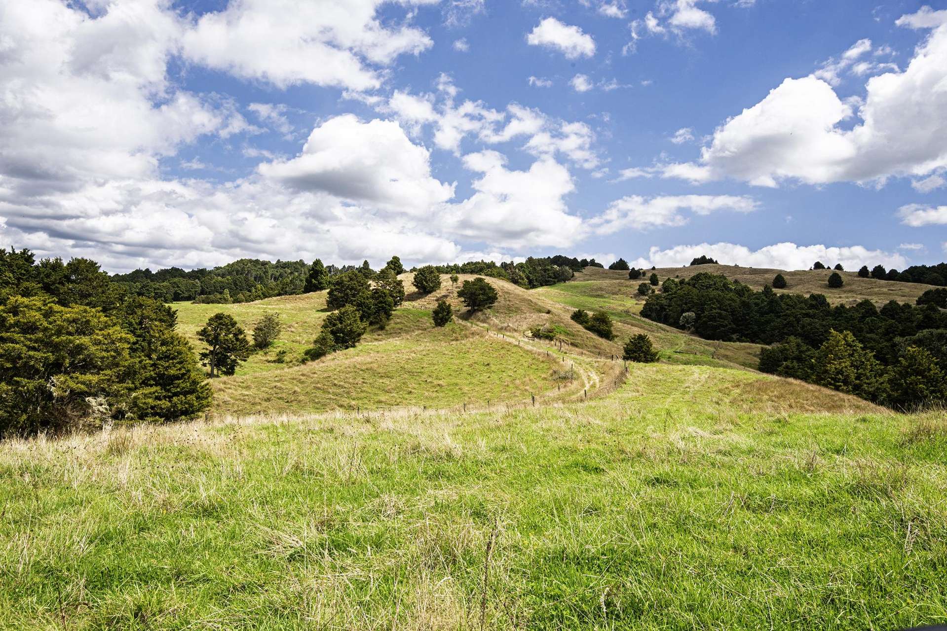 1085 Riponui Road Riponui_0