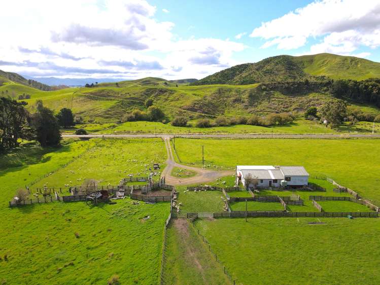 672 Weber Road Dannevirke_5