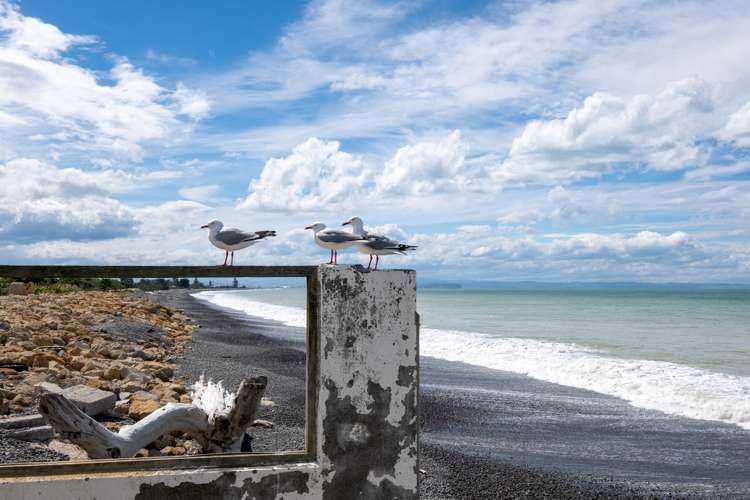 7 Clifton Road Haumoana_5