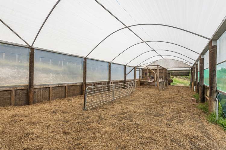 114 Hay Road Hukerenui and Surrounds_21