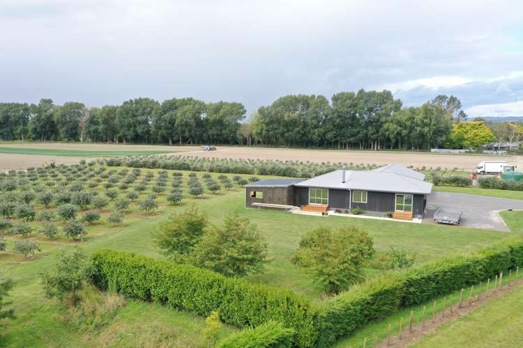 72 Pinfold Road Aokautere_16