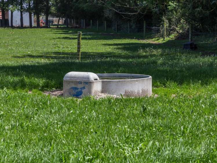 1403 South Eyre Road Swannanoa_9