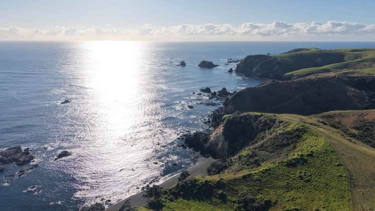 1811 Rangihoua Road Kerikeri_39