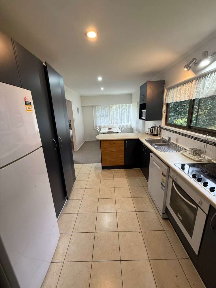 244 Point View Drive East Tamaki Heights_5