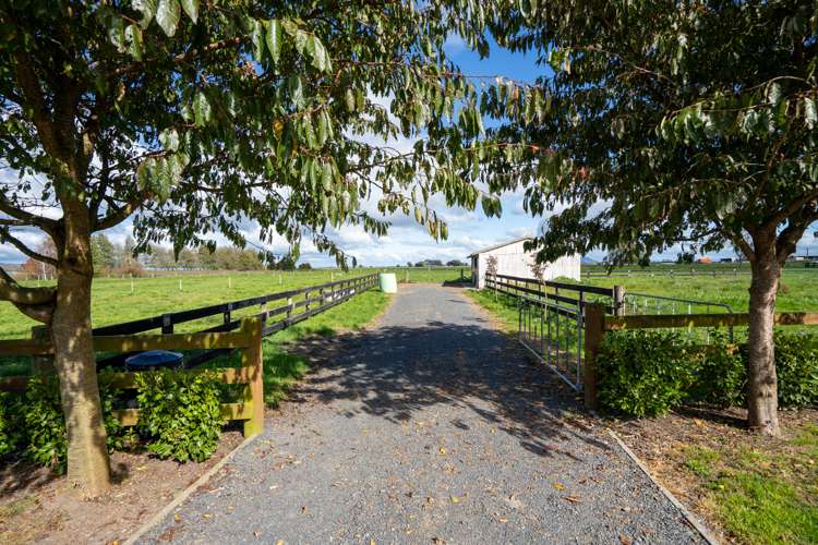 243 Parallel Road Ohaupo_10