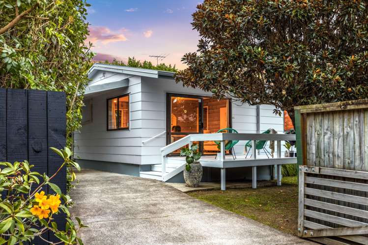 29b Nukumea Common Orewa_16