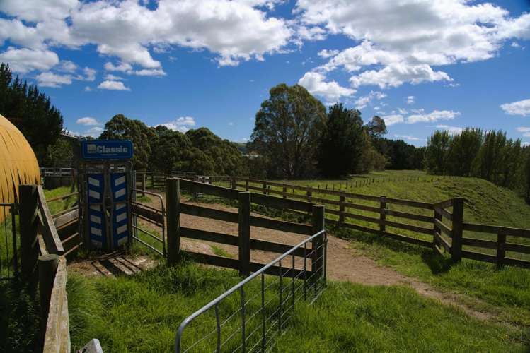 2-4/461 Otamarakau Valley Road Pukehina_11