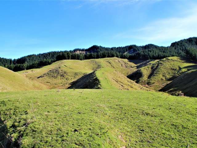 5785 Turakina Valley Road Hunterville_2