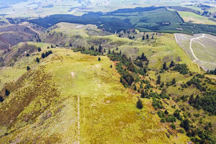 Mcintosh Road Geraldine_18