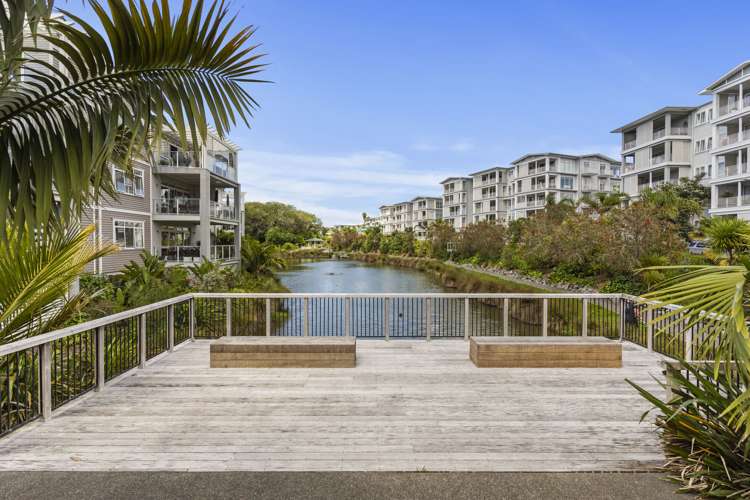 245 Hibiscus Drive Orewa_18