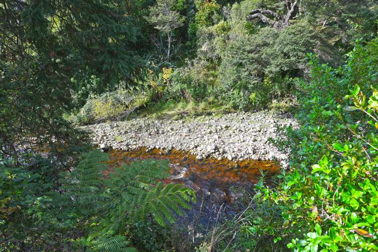 10 Beechwood Way Te Marua_22