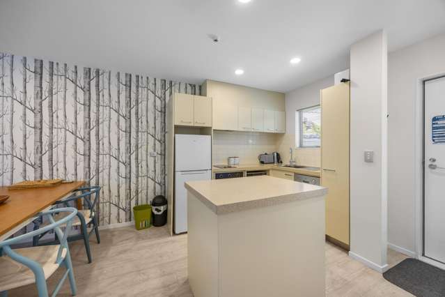 1/13 Plantation Road Wanaka_3